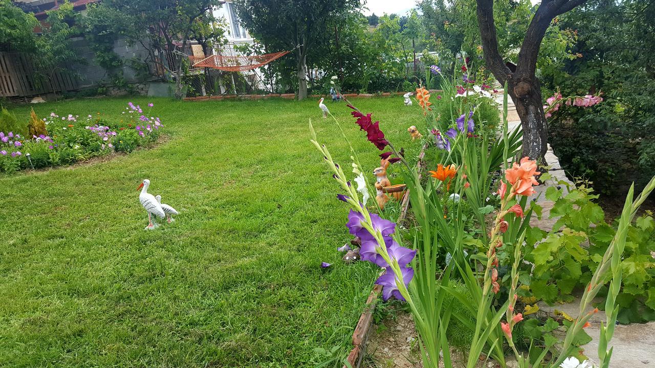 Kribul Guest House Agush מראה חיצוני תמונה